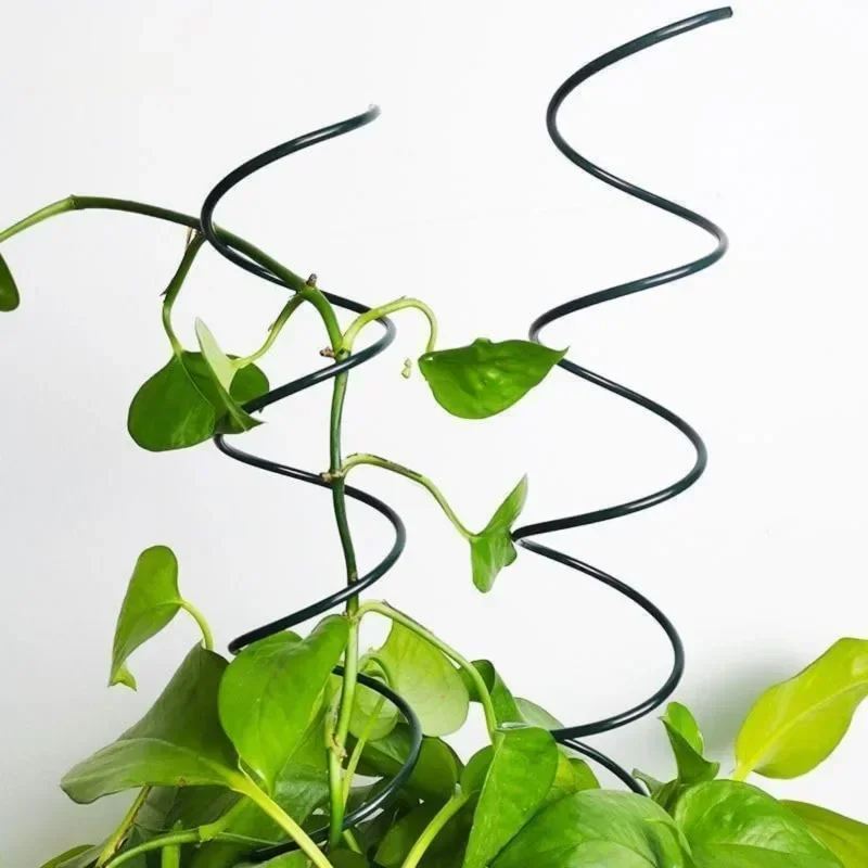 Supporto per Piante Rampicanti - Us Bonsai Garden recensione e prezzo