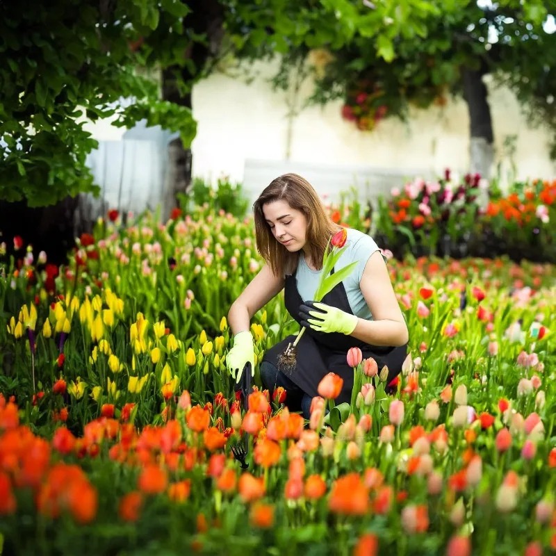 Rastrello da Giardino 2 in 1 M - Soil Scoop Tool recensione e prezzo