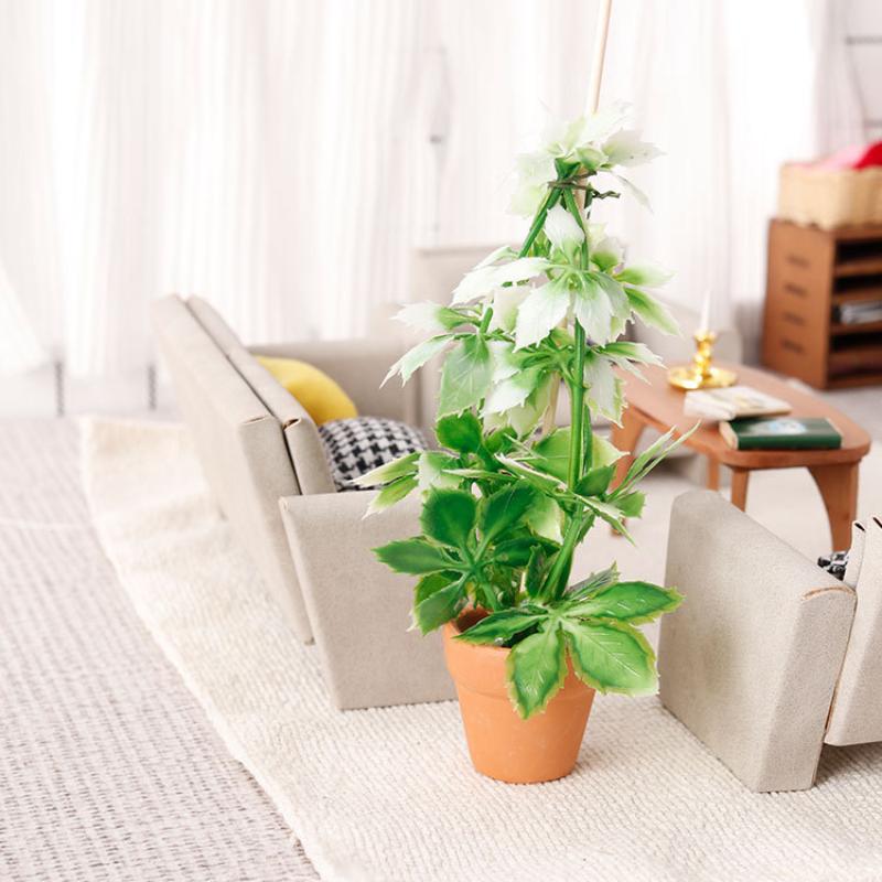 1/12 Simulazione di casa delle - Us Bonsai Garden recensione e prezzo