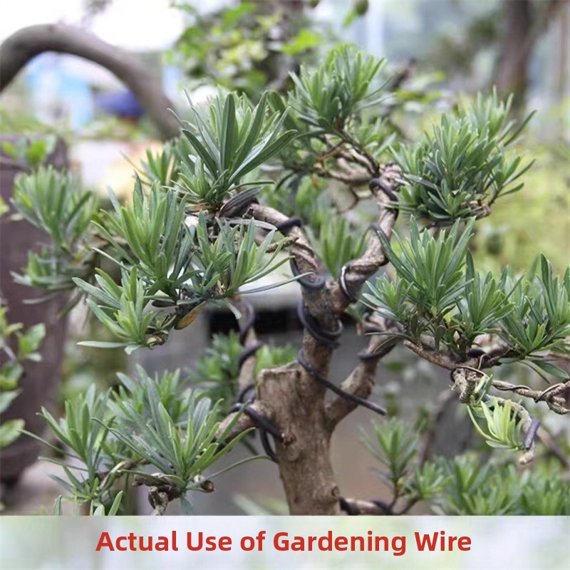Fili per Bonsai da 1,5 mm in A - Us Bonsai Garden recensione e prezzo